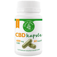 CBD Kapseln
